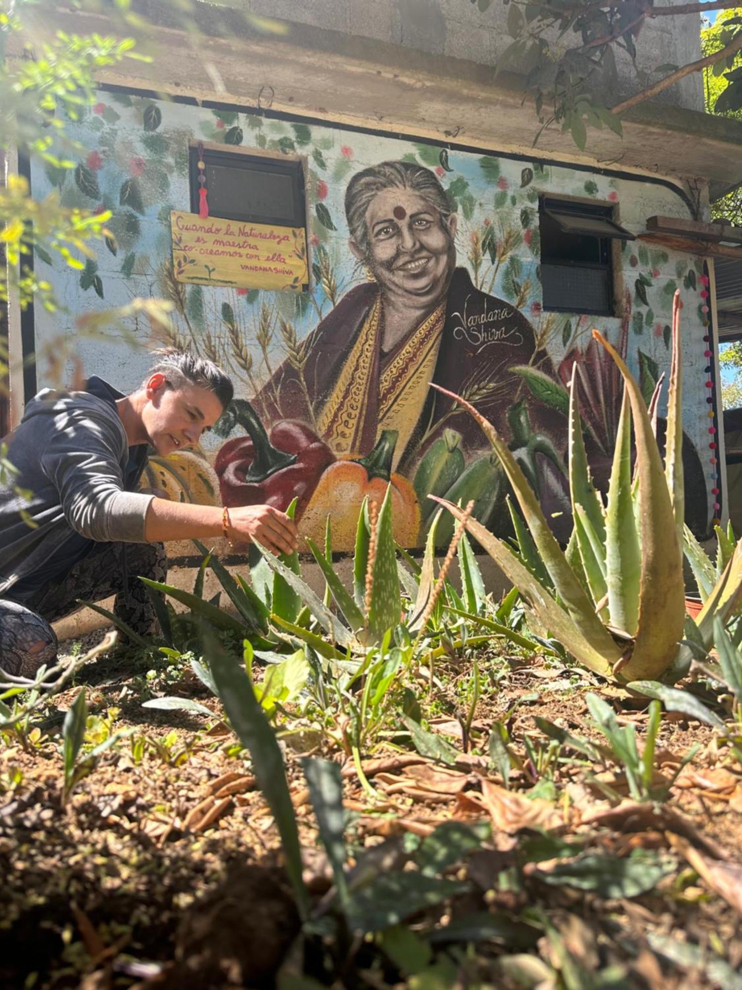 Historika Hostel Cultural San Cristóbal de Las Casas 外观 照片