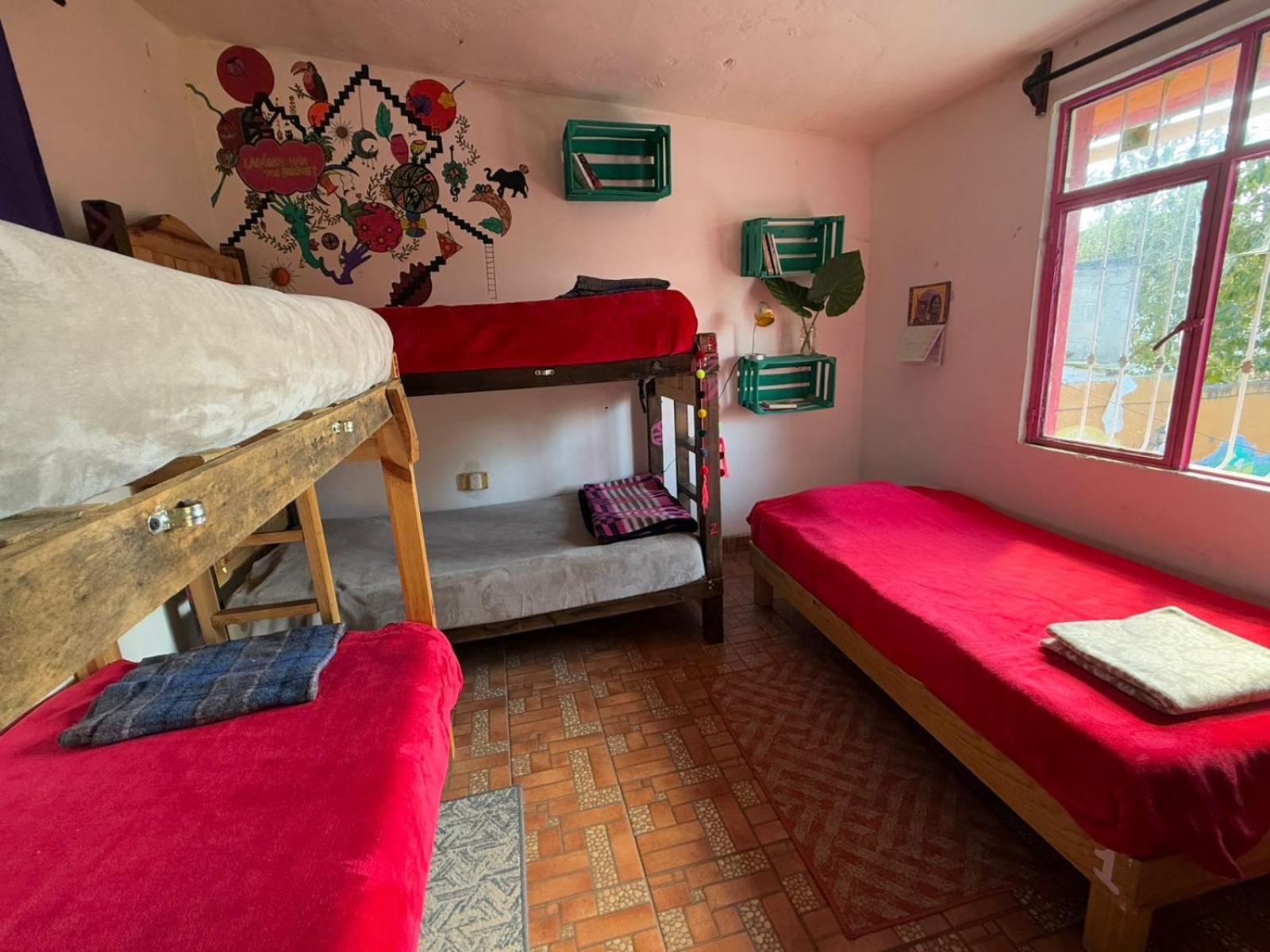 Historika Hostel Cultural San Cristóbal de Las Casas 外观 照片